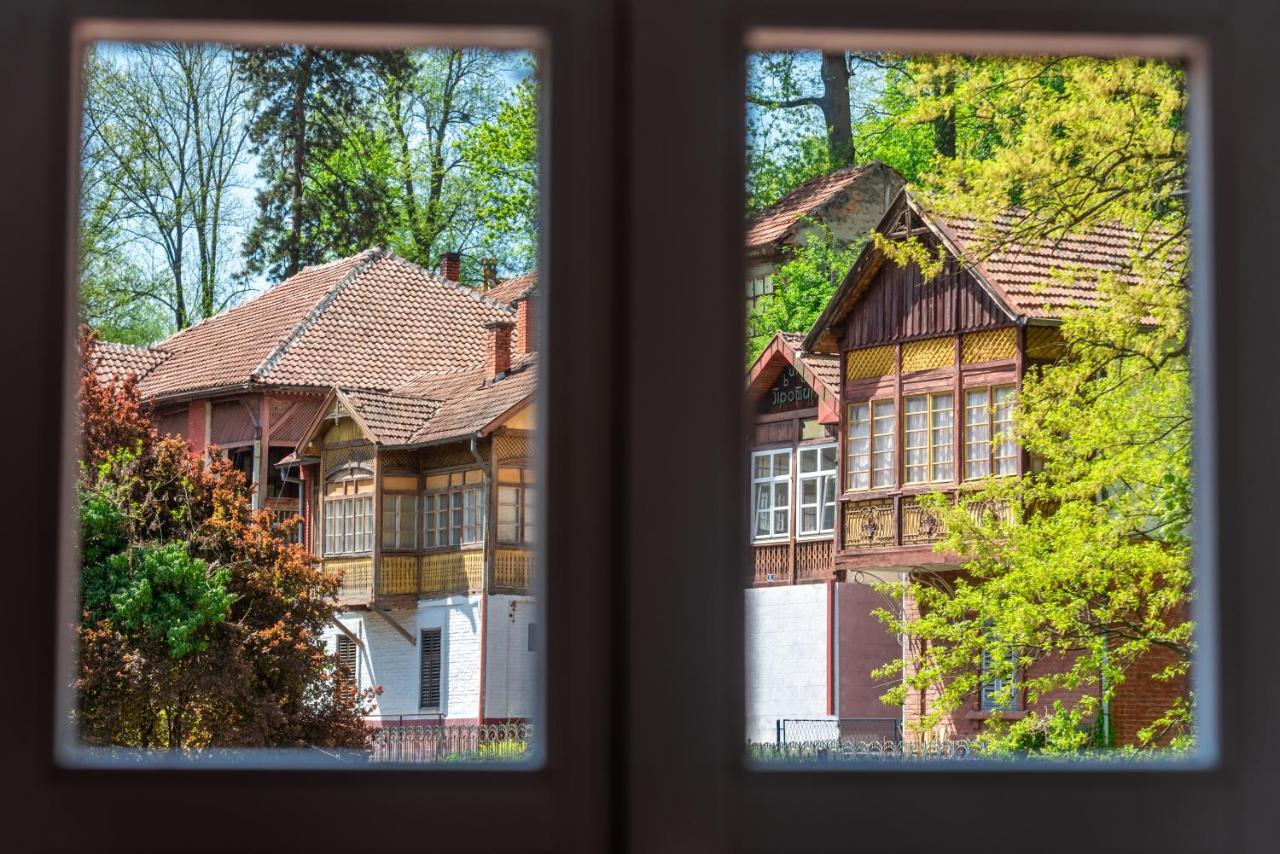Vila Emilia Vrnjačka Banja Εξωτερικό φωτογραφία